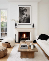 modern_fireplace_004